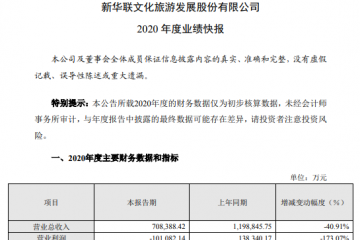 新华联2020年度亏损12.86亿财务费用增加、政府补助下降