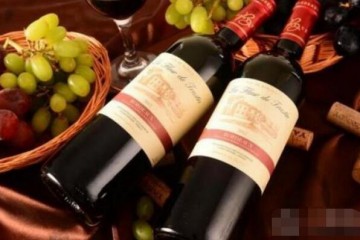 巴黎庄园红酒火热招商加盟