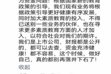 掌门教育CEO张翼回应裁员：非资金问题，而是加大素质教育投入