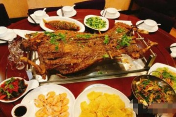 杨正宗烤全羊火热招商加盟
