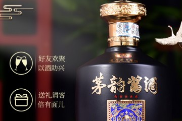 53°茅台集团茅韵酱酒 飞天仕女图 商务版礼盒500ml*2+50°古井贡酒·桃花春曲500ml*2+42°古井小罍子（乐享）100ml*2+凡蒂诺描金白酒杯礼盒