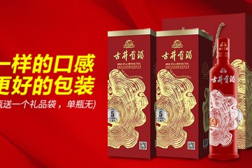 45°古井贡酒（岁月经典5） 700ml*2