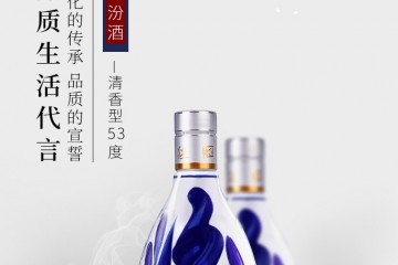 53°青花20汾酒500ml（双瓶装）