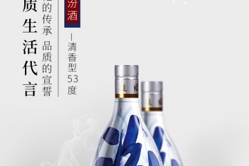 53°汾酒 山西杏花村酒 青花20清香型白酒 500mL （新老包装随机发）