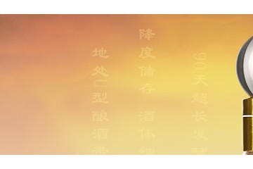 52°全兴大曲12 500ml