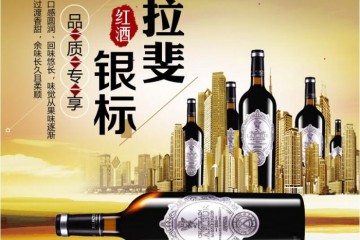 法国进口红酒拉斐天使酒园银标干红葡萄酒红酒整箱醒酒器装750ml*6瓶