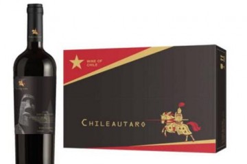 智利进口红酒中央山谷产区石人珍藏14.3度干红葡萄酒750mlx6