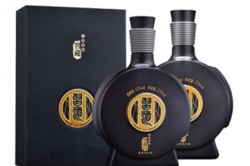 53°贵州习酒 窖藏1988（雅致版）579ml*2瓶