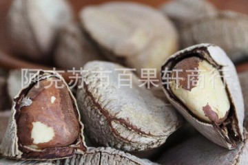 鲍鱼果大果500g袋装孕妇儿童坚果新疆发货