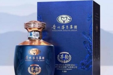 53° 茅坛壹号小金坛+53° 茅韵V80酱香型白酒礼酒500ML（2瓶组合装）