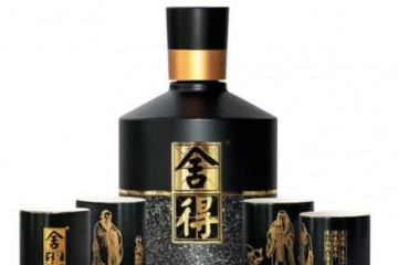 沱牌舍得 舍得 52度 舍我其谁 浓香型 纯粮食白酒 100ml 礼盒装