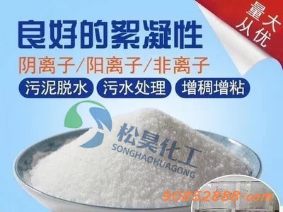 聚丙烯酰胺工业级污水处理PAM 污泥水处理用阳离子聚丙烯酰胺-- 河南松昊化工有限公司