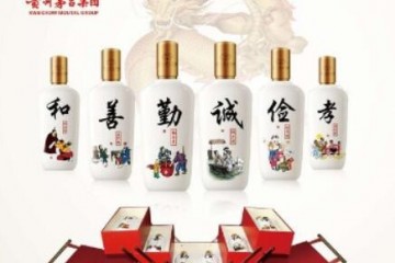 茅台集团龙酒传统文化版的价格，茅台集团龙酒传统文化多少钱