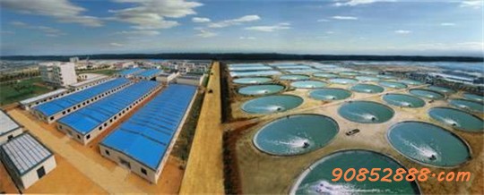 湛江水产公司订购华全玉柴发电机组