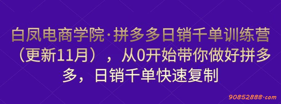 拼多多日销千单训练营白凤电商插图