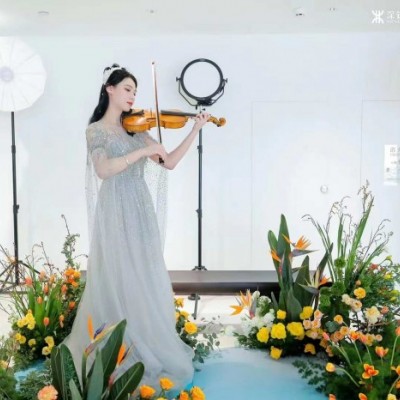 深圳小提琴表演 四重奏演奏 深圳小提琴演出 欢迎咨询！