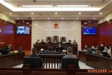 2600岁“古楠木王”被盗割