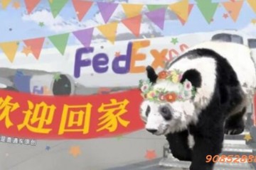 旅美大熊猫“丫丫”专机已降落上海